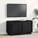Cabinet TV Stejar negru 80 x 35 x 45 cm Lemn compozit - WALTI WALTI