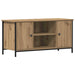 Cabinet TV stejar artizanal 100 x 40 x 50 cm Lemn compozit - WALTI WALTI