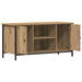 Cabinet TV stejar artizanal 100 x 40 x 50 cm Lemn compozit - WALTI WALTI