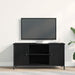 Cabinet TV Stejar negru 100 x 40 x 50 cm Lemn compozit - WALTI WALTI
