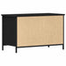Cabinet TV Stejar negru 80 x 40 x 50 cm Lemn compozit - WALTI WALTI