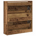 Dulap pentru Încălțăminte cu ușă Lemn vechi 80 x 21 x 87.5 cm - WALTI WALTI