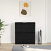 Dulap pentru Încălțăminte cu ușă Stejar negru 80 x 21 x 87.5 cm - WALTI WALTI