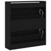 Dulap pentru Încălțăminte cu ușă Stejar negru 80 x 21 x 87.5 cm - WALTI WALTI
