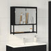 Dulap cu oglindă pentru baie Stejar negru 60 x 16 x 60 cm - WALTI WALTI