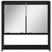 Dulap cu oglindă pentru baie Stejar negru 60 x 16 x 60 cm - WALTI WALTI
