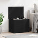 Cutie de depozitare Stejar negru 60 x 42 x 46 cm Lemn compozit - WALTI WALTI