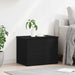 Cutie de depozitare Stejar negru 60 x 42 x 46 cm Lemn compozit - WALTI WALTI