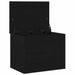 Cutie de depozitare Stejar negru 60 x 42 x 46 cm Lemn compozit - WALTI WALTI
