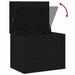 Cutie de depozitare Stejar negru 60 x 42 x 46 cm Lemn compozit - WALTI WALTI