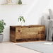 Cutie de depozitare Lemn vechi 100 x 42 x 46 cm Lemn compozit - WALTI WALTI