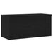 Cutie de depozitare Stejar negru 100 x 42 x 46 cm Lemn compozit - WALTI WALTI