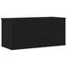 Cutie de depozitare Stejar negru 100 x 42 x 46 cm Lemn compozit - WALTI WALTI