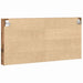 Dulap de Expunere Lemn Vechi 100 x 8,5 x 50 cm Lemn compozit - WALTI WALTI