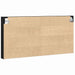 Dulap de Expunere Stejar Negru 100 x 8,5 x 50 cm Lemn compozit - WALTI WALTI