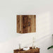 Dulap de perete Lemn Vechi 60 x 31,5 x 60 cm Lemn compozit - WALTI WALTI