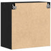 Dulap de perete Stejar Negru 60 x 31,5 x 60 cm Lemn compozit - WALTI WALTI