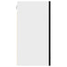 Dulap suspendat din sticlă, stejar negru, 40x31x60 cm, lemn prelucrat - WALTI WALTI