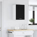 Dulap suspendat, stejar negru, 40x31x60 cm, lemn prelucrat - WALTI WALTI