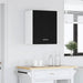 Dulap suspendat Stejar negru 50 x 31 x 60 cm Lemn compozit - WALTI WALTI