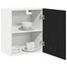 Dulap suspendat Stejar negru 50 x 31 x 60 cm Lemn compozit - WALTI WALTI
