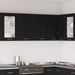 Dulap suspendat Stejar negru 80 x 31 x 60 cm Lemn compozit - WALTI WALTI