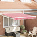 Copertină retractabilă Roșu 300 x 250 cm Poliester și metal - WALTI WALTI