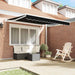 Copertină Manual Negru 300 x 250 x 165 cm Poliester - WALTI WALTI