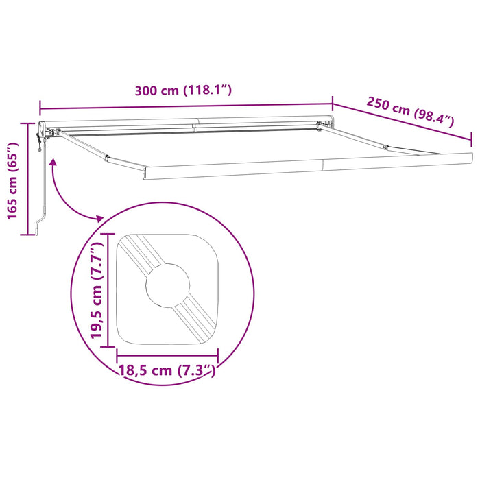 Copertină Bej 300 x 250 x 165 cm Poliester și Aluminiu - WALTI WALTI