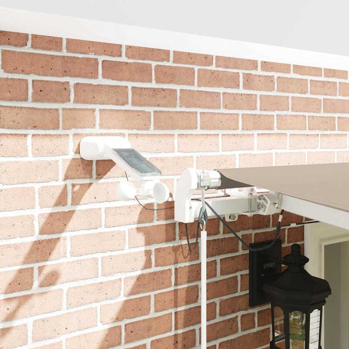 Cortina Retractabilă Bej 600 × 350 cm Poliester și metal - WALTI WALTI