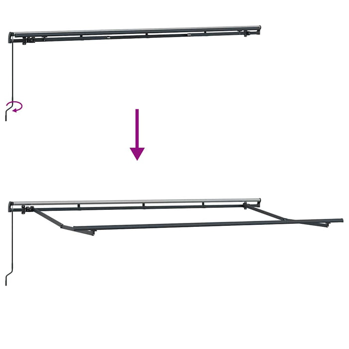 Cadru de copertină Antracit 4 x 2 m Metal - WALTI WALTI