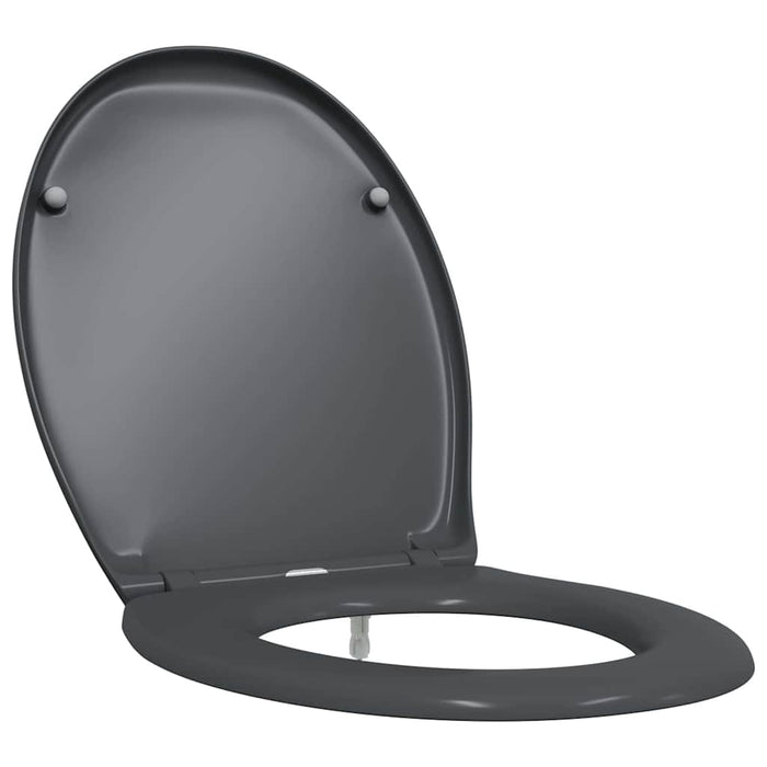 Capacul de toaletă Antracit 47 x 37 x 4 cm Duroplast - WALTI WALTI