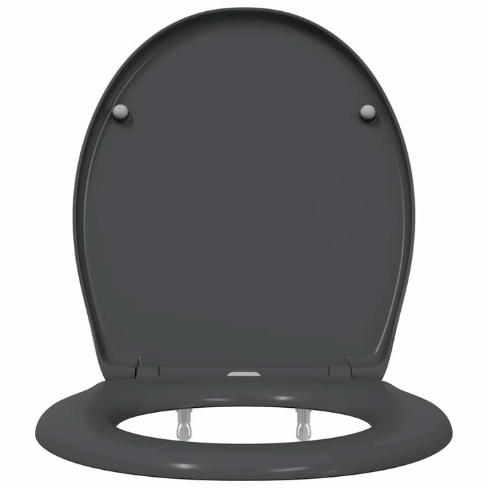 Capacul de toaletă Antracit 47 x 37 x 4 cm Duroplast - WALTI WALTI