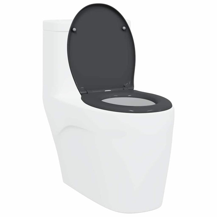 Capacul de toaletă Antracit 47 x 37 x 4 cm Duroplast - WALTI WALTI