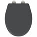 Capacul de toaletă Antracit 47 x 37 x 4 cm Duroplast - WALTI WALTI