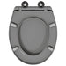 Capacul de toaletă Gri 47 x 37 x 4 cm Duroplast - WALTI WALTI