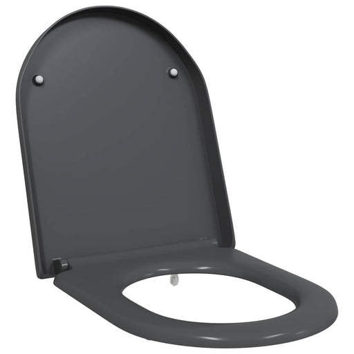 Capacul de toaletă Antracit 49 x 36 x 4 cm Duroplast - WALTI WALTI