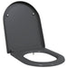 Capacul de toaletă Antracit 49 x 36 x 4 cm Duroplast - WALTI WALTI