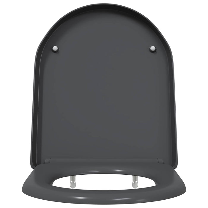 Capacul de toaletă Antracit 49 x 36 x 4 cm Duroplast - WALTI WALTI