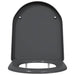 Capacul de toaletă Antracit 49 x 36 x 4 cm Duroplast - WALTI WALTI