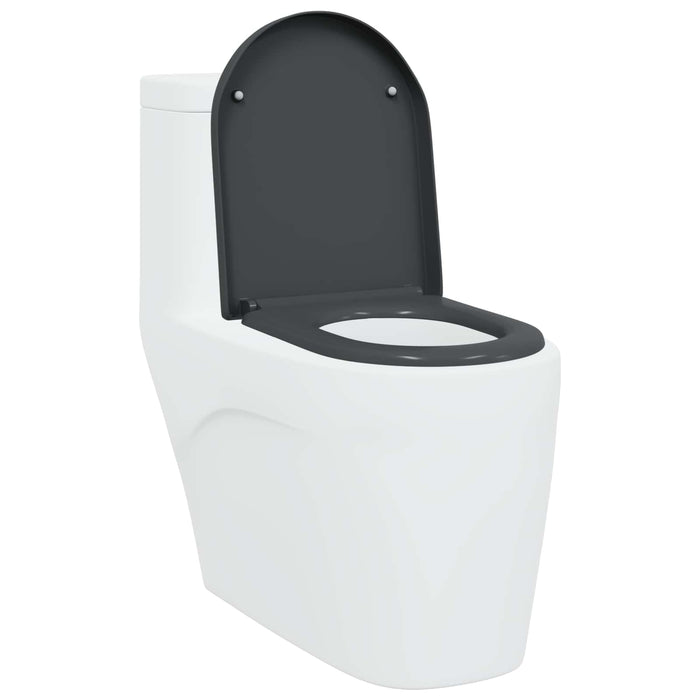 Capacul de toaletă Antracit 49 x 36 x 4 cm Duroplast - WALTI WALTI