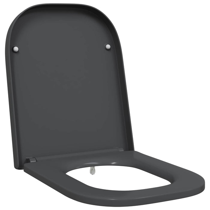 Capacul de toaletă Antracit 47,5 x 35 x 3,6 cm Duroplast WALTI