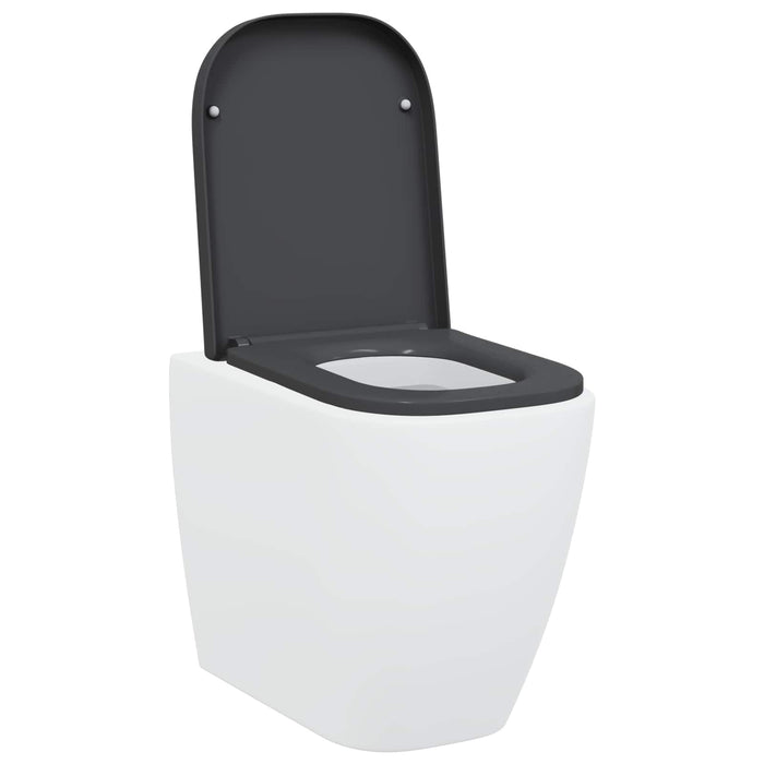 Capacul de toaletă Antracit 47,5 x 35 x 3,6 cm Duroplast WALTI