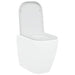Capacul de toaletă Alb 47,5 x 35 x 3,6 cm Duroplast - WALTI WALTI