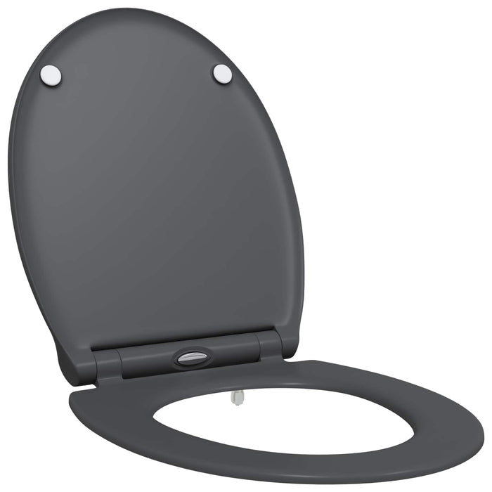 Capacul de toaletă Antracit 47 x 37,5 x 3,8 cm Duroplast - WALTI WALTI