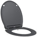 Capacul de toaletă Antracit 47 x 37,5 x 3,8 cm Duroplast - WALTI WALTI