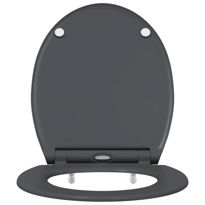 Capacul de toaletă Antracit 47 x 37,5 x 3,8 cm Duroplast - WALTI WALTI