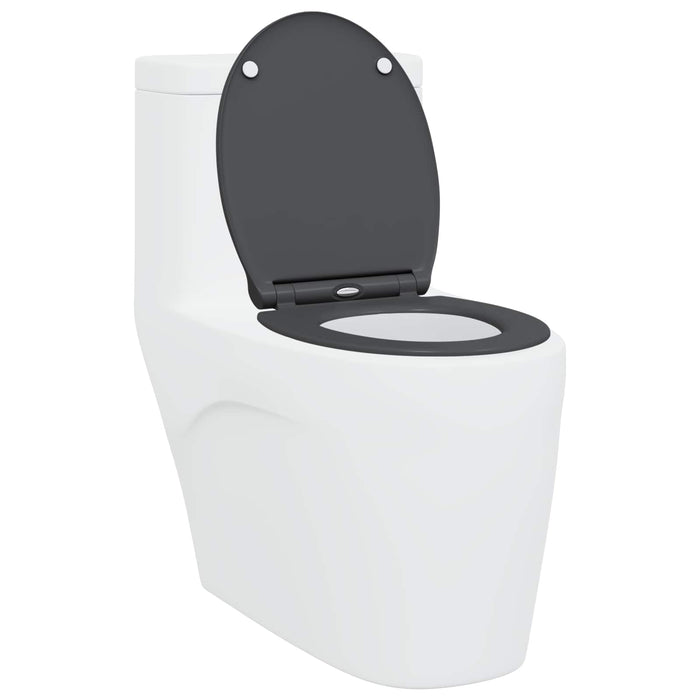 Capacul de toaletă Antracit 47 x 37,5 x 3,8 cm Duroplast - WALTI WALTI