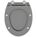 Capacul de toaletă Gri 47 x 37,5 x 3,8 cm Duroplast - WALTI WALTI