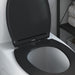 Capacul de toaletă Negru 47 x 37,5 x 3,8 cm Duroplast - WALTI WALTI